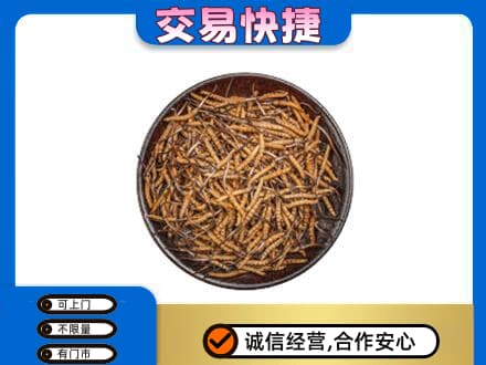 阿克苏地区阿瓦提县回收散虫草